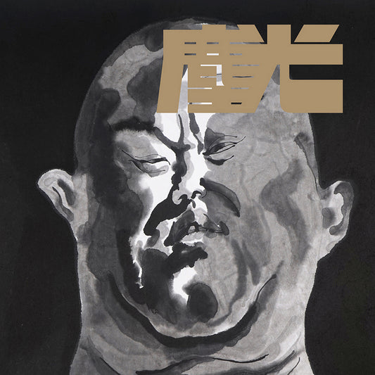 塵光:方力鈞作品集