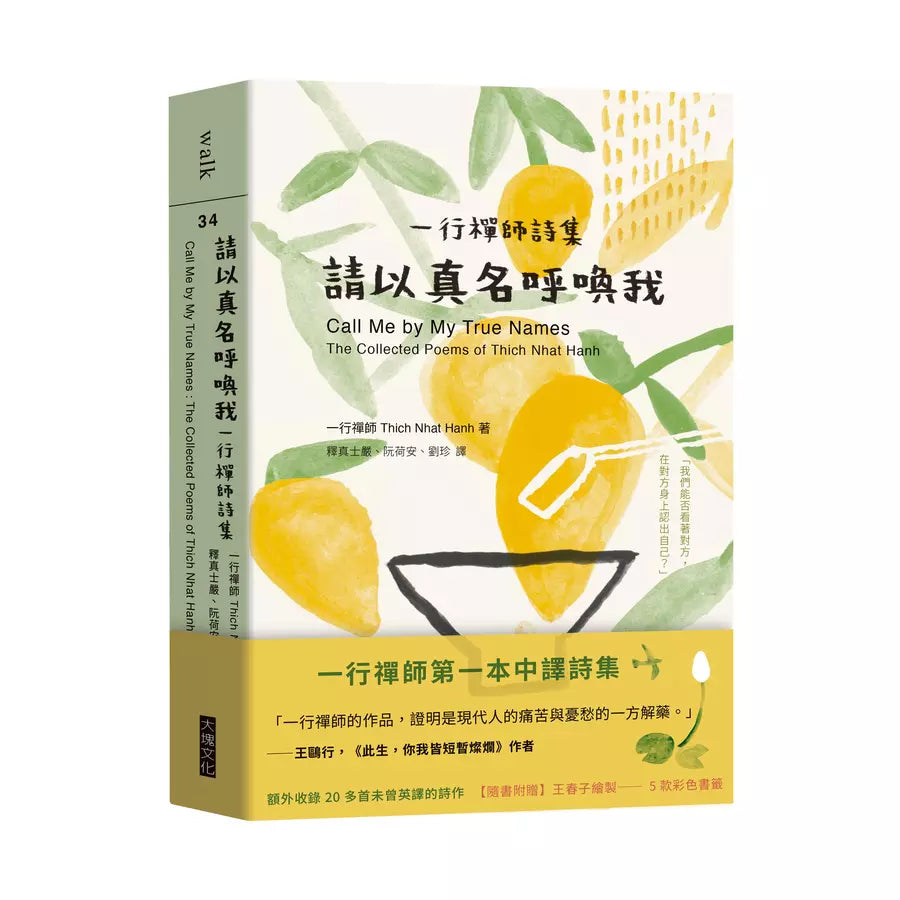 請以真名呼喚我:一行禪師詩集