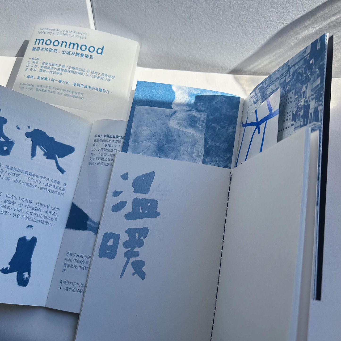 藝術本位研究:出版及展覽項目
