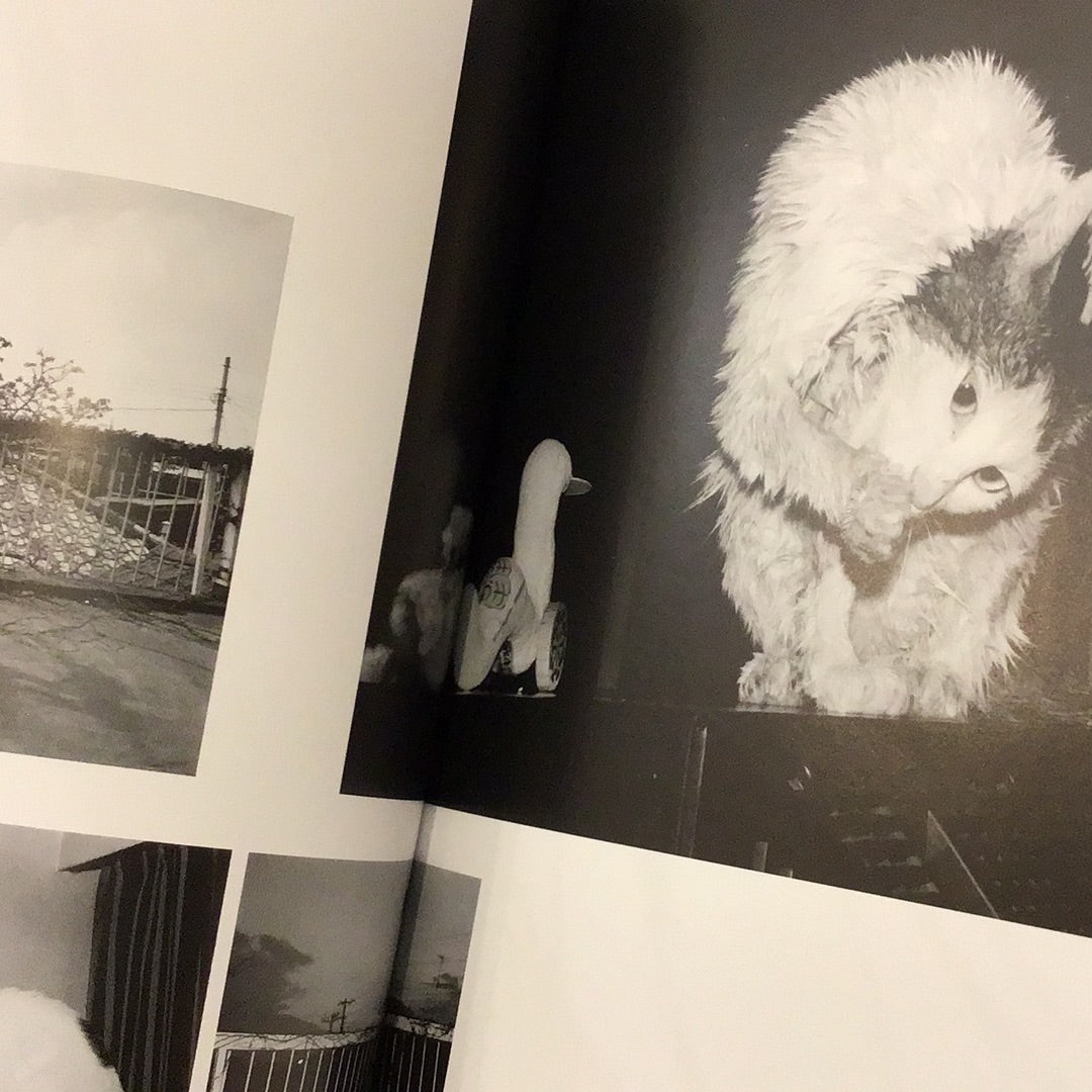 Araki. 40th Ed.