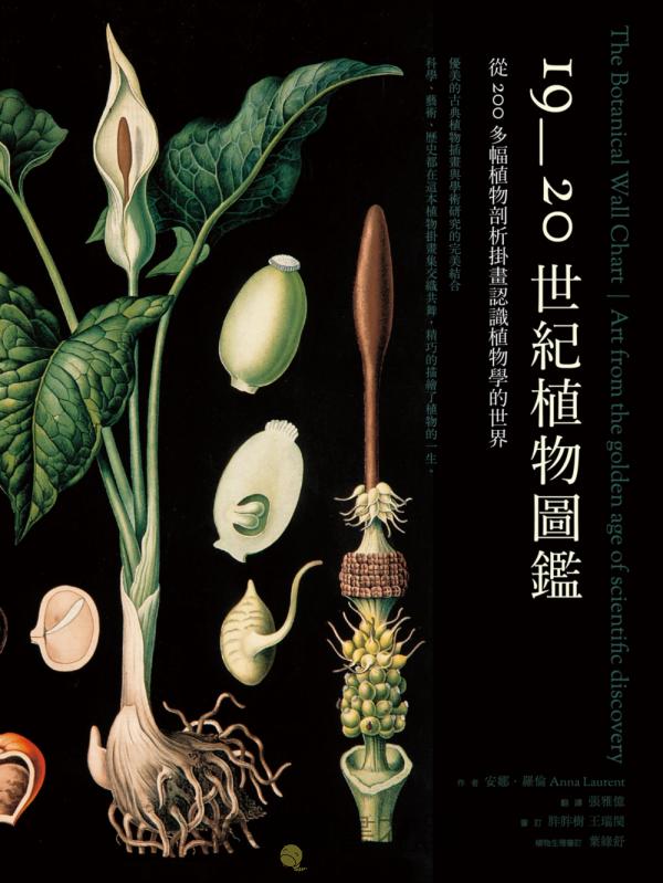 19-20世紀植物圖鑑