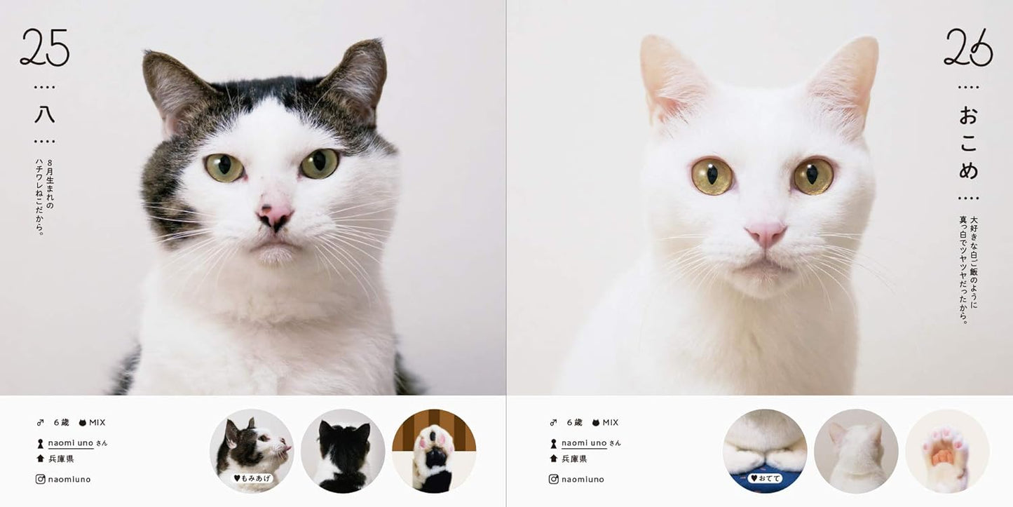 ねこさま名集100