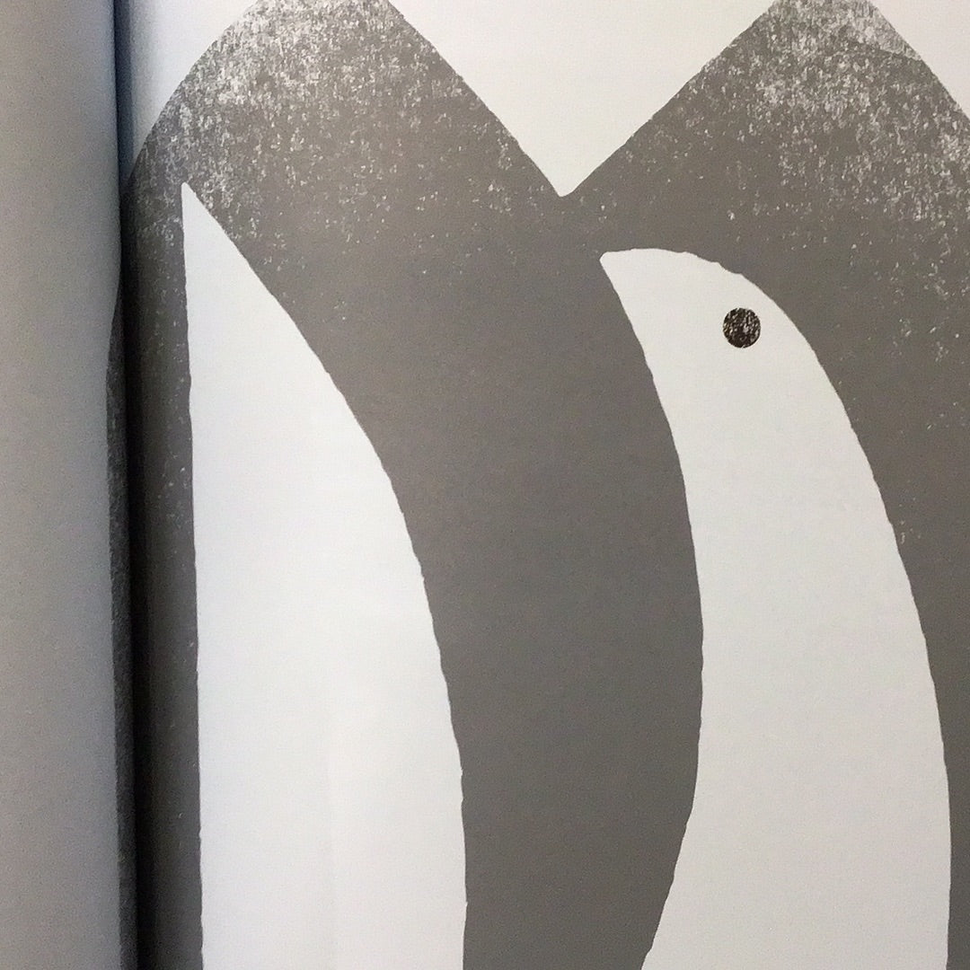 The Typefaces