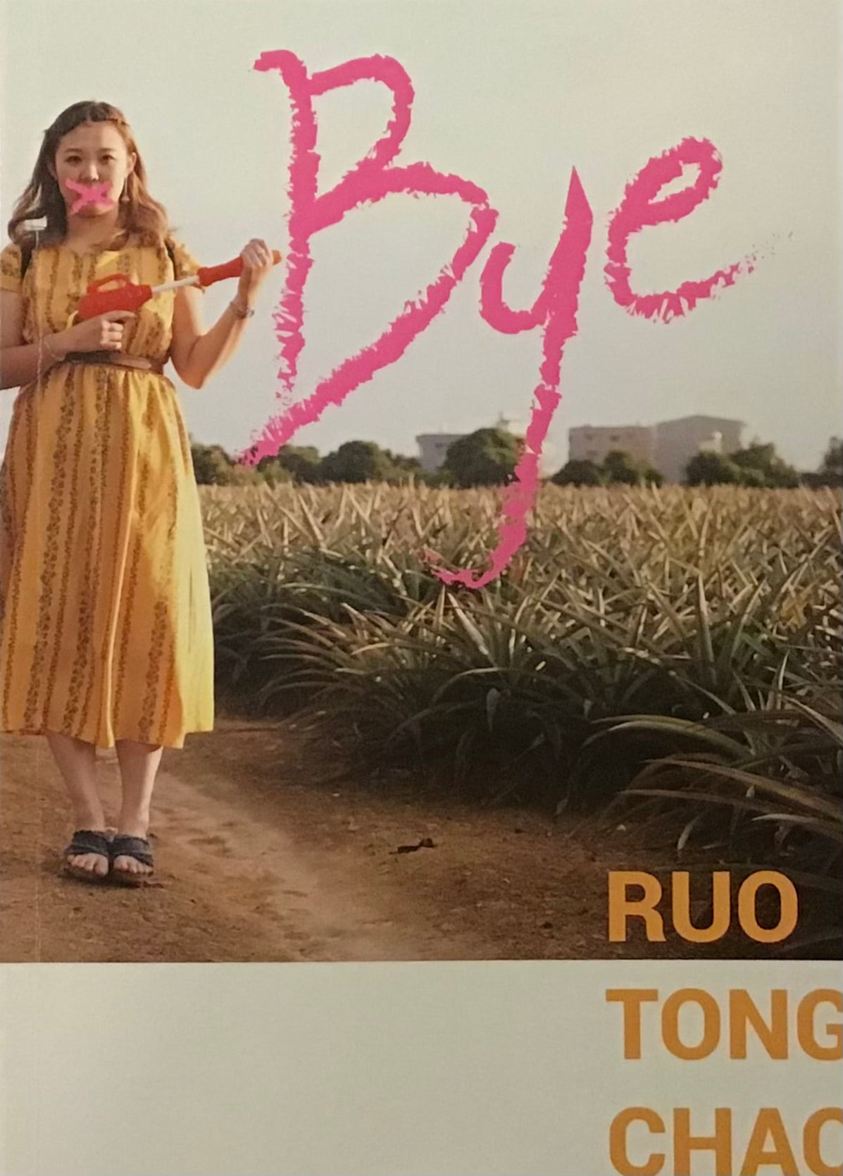 Bye Bye