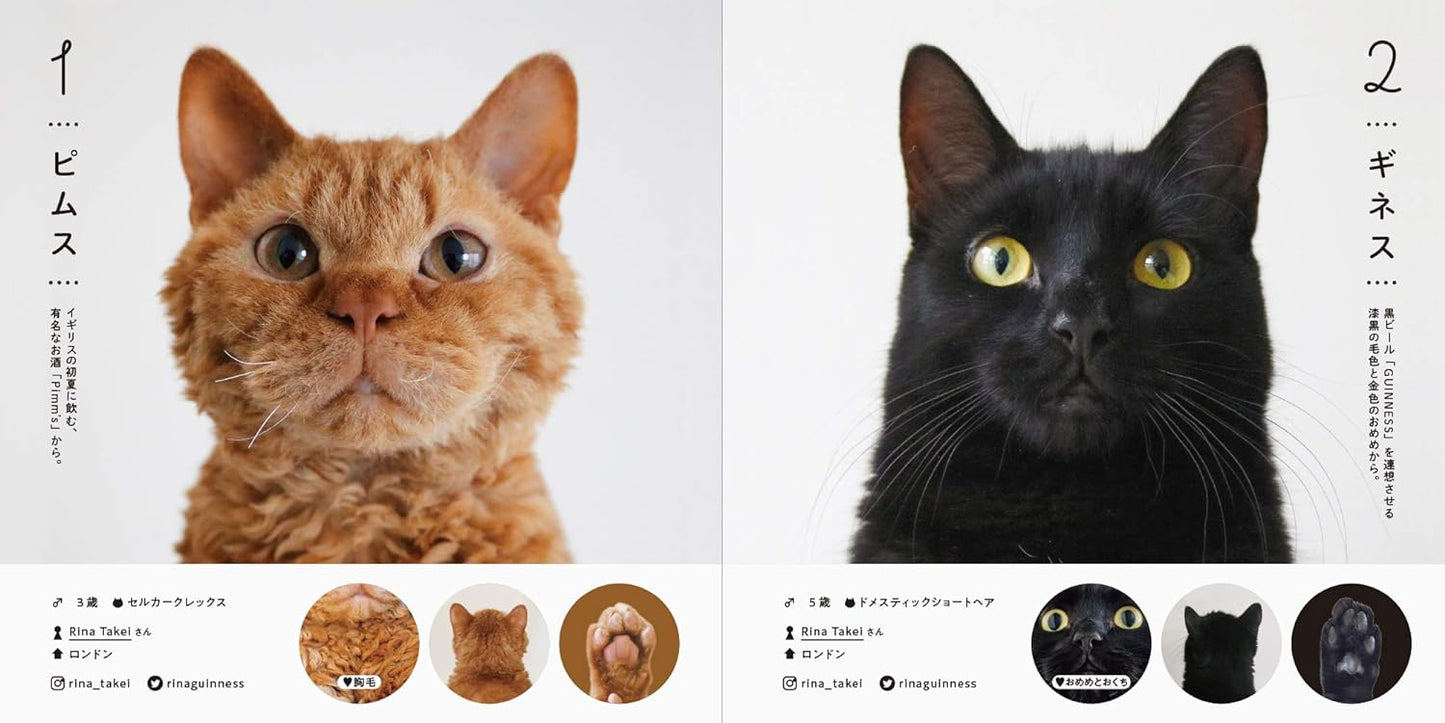 ねこさま名集100