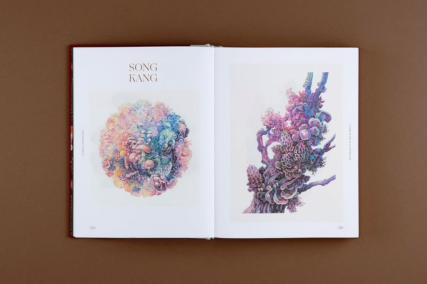 Fungal Inspiration : Art and Illustration Inspired by Wild Nature