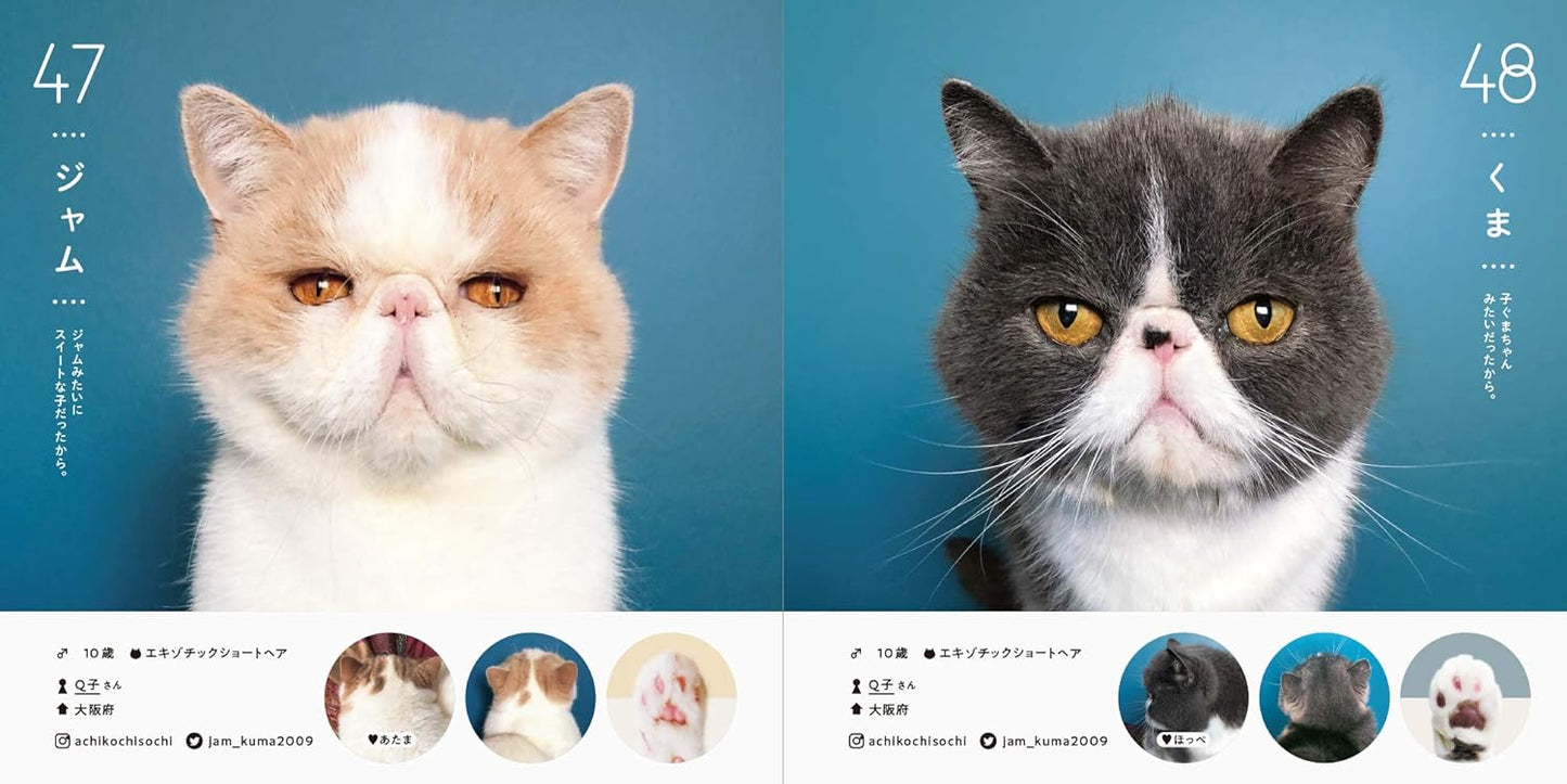 ねこさま名集100