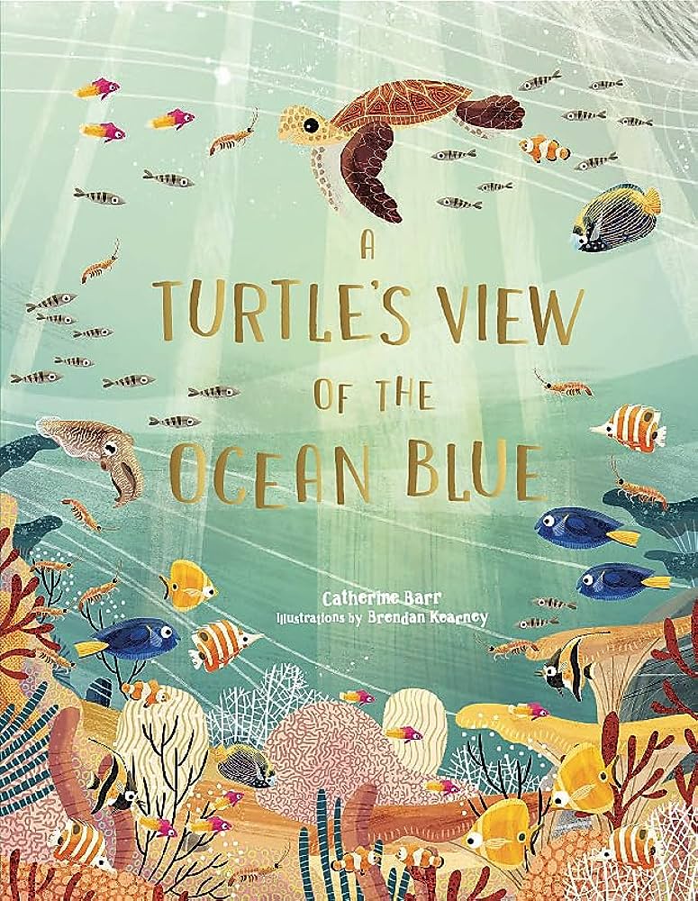 A Turtle's view of the Ocean Blue