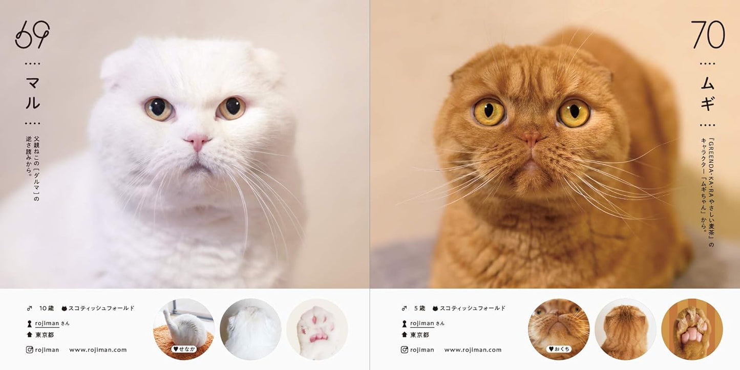 ねこさま名集100