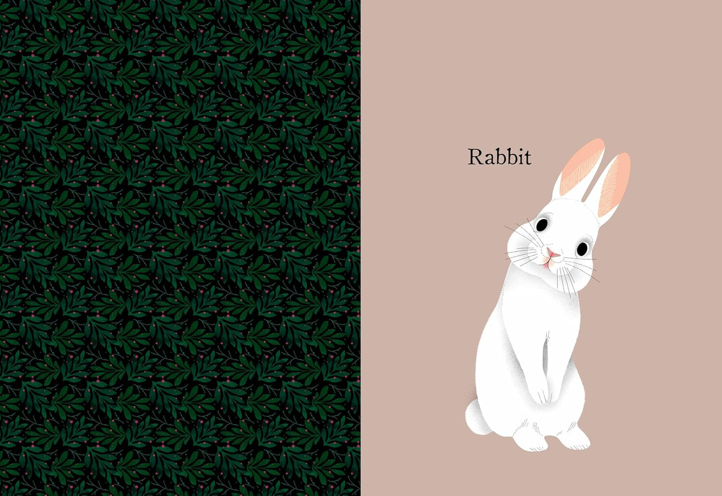 Animal Portraits