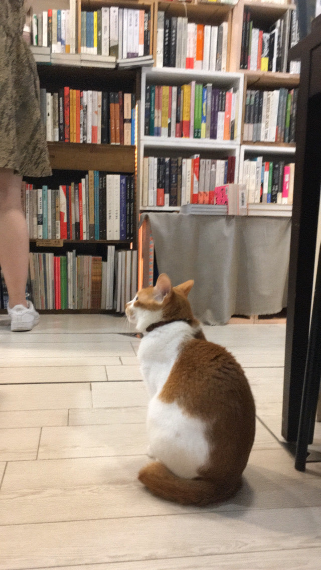 Vivian Maier:Street Photographer