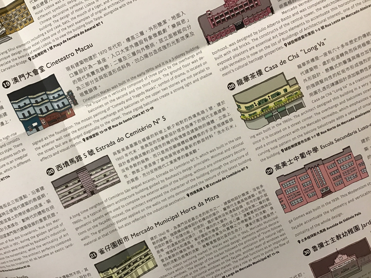 摩登的條線(修訂版)