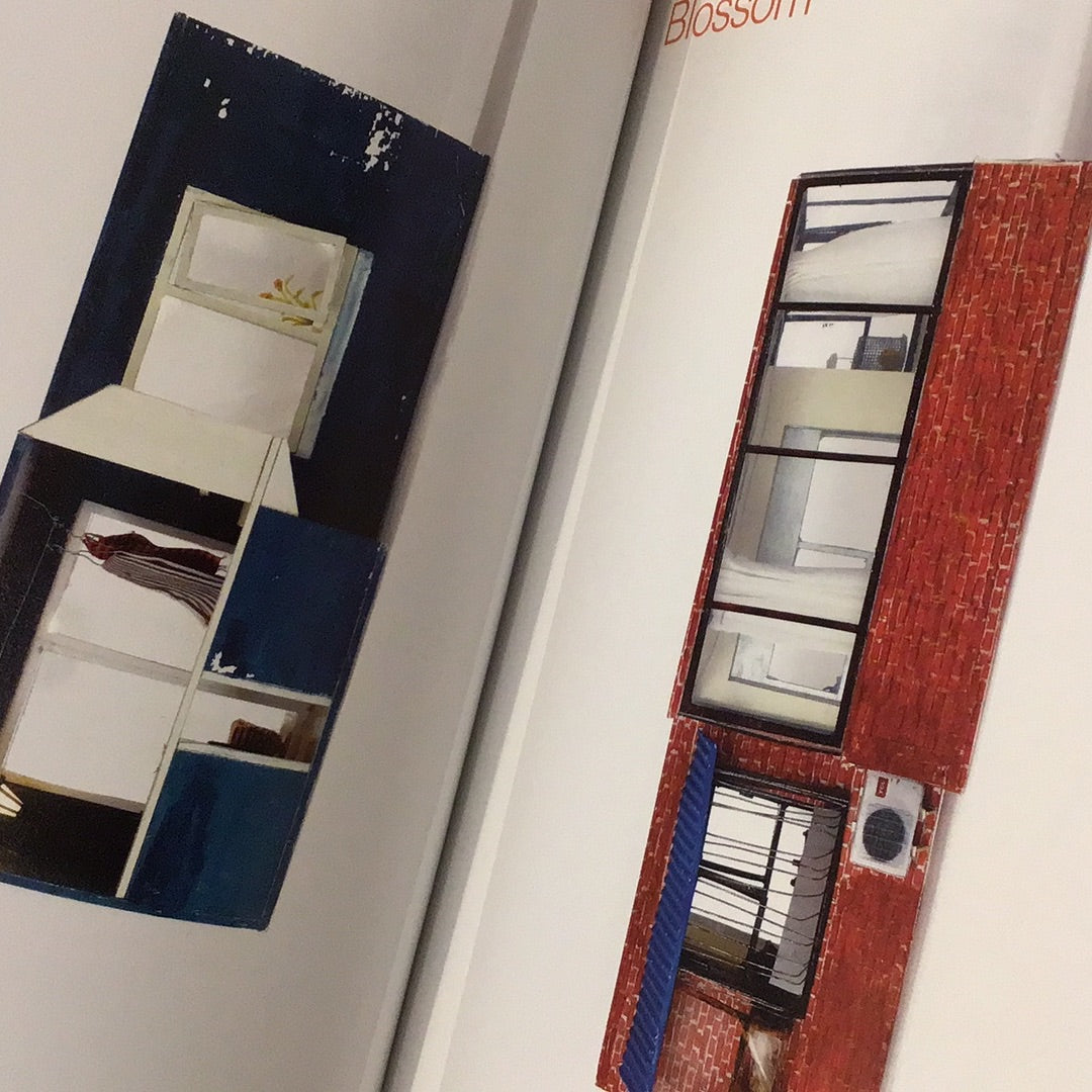 樓房花朵:零度城市研究系列