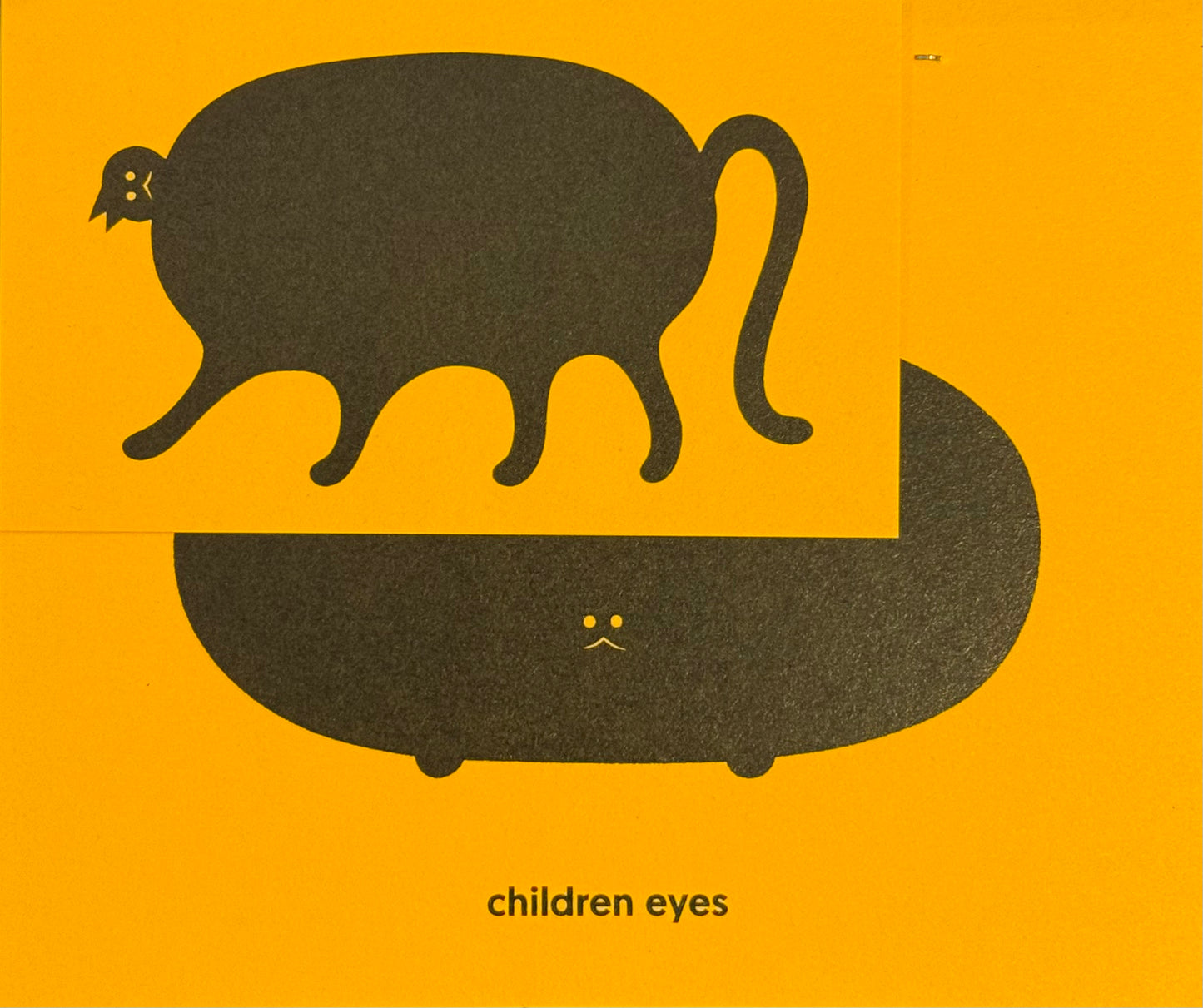 After my cat fell ill