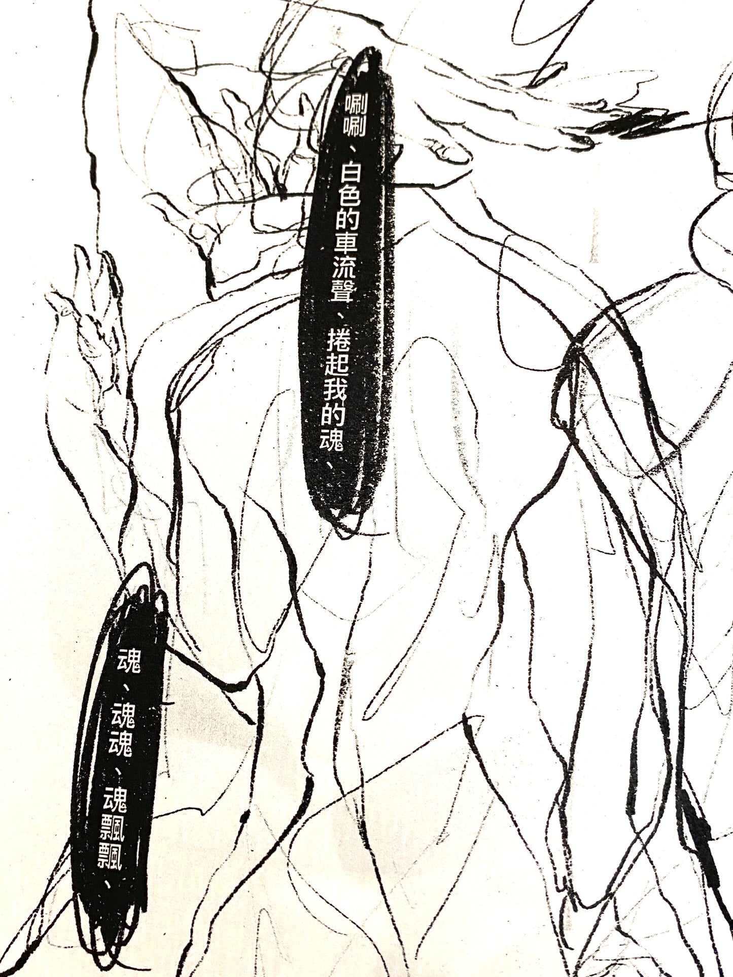 Soul and Shadow Book