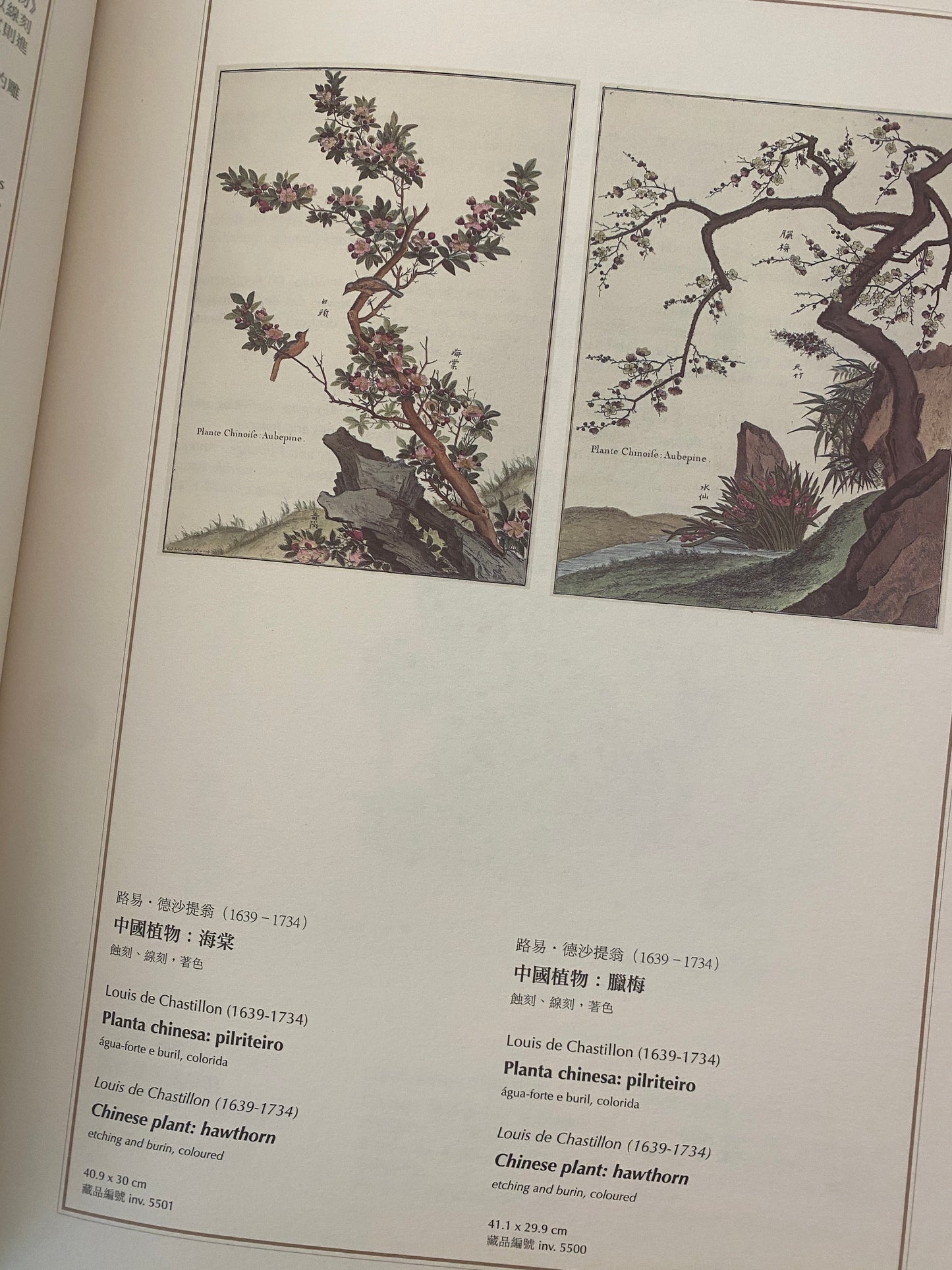 從凡爾賽到紫禁城 - 羅浮宮館藏銅版畫集