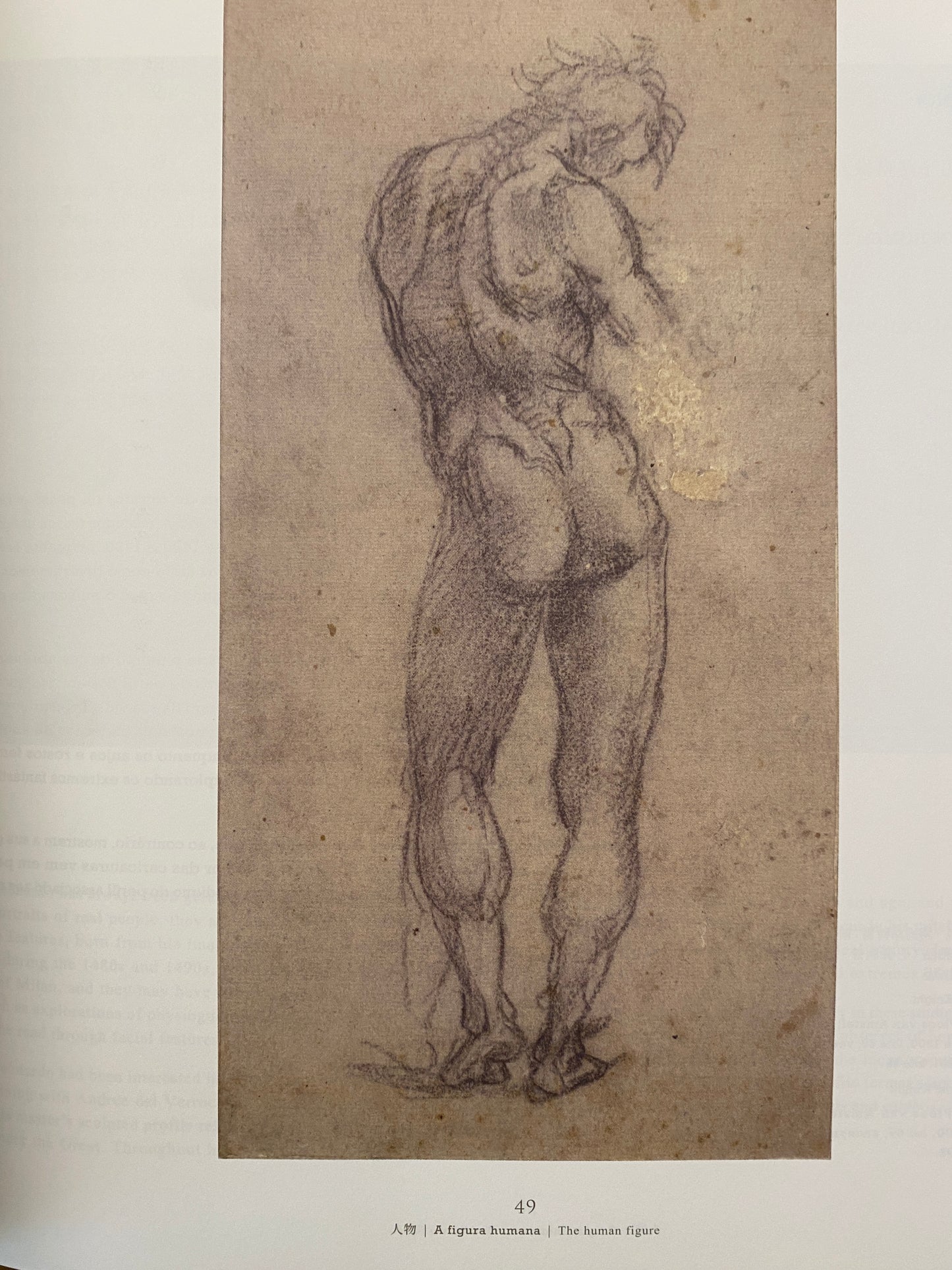Italian Renaissance Sketches from the British Museum Collection