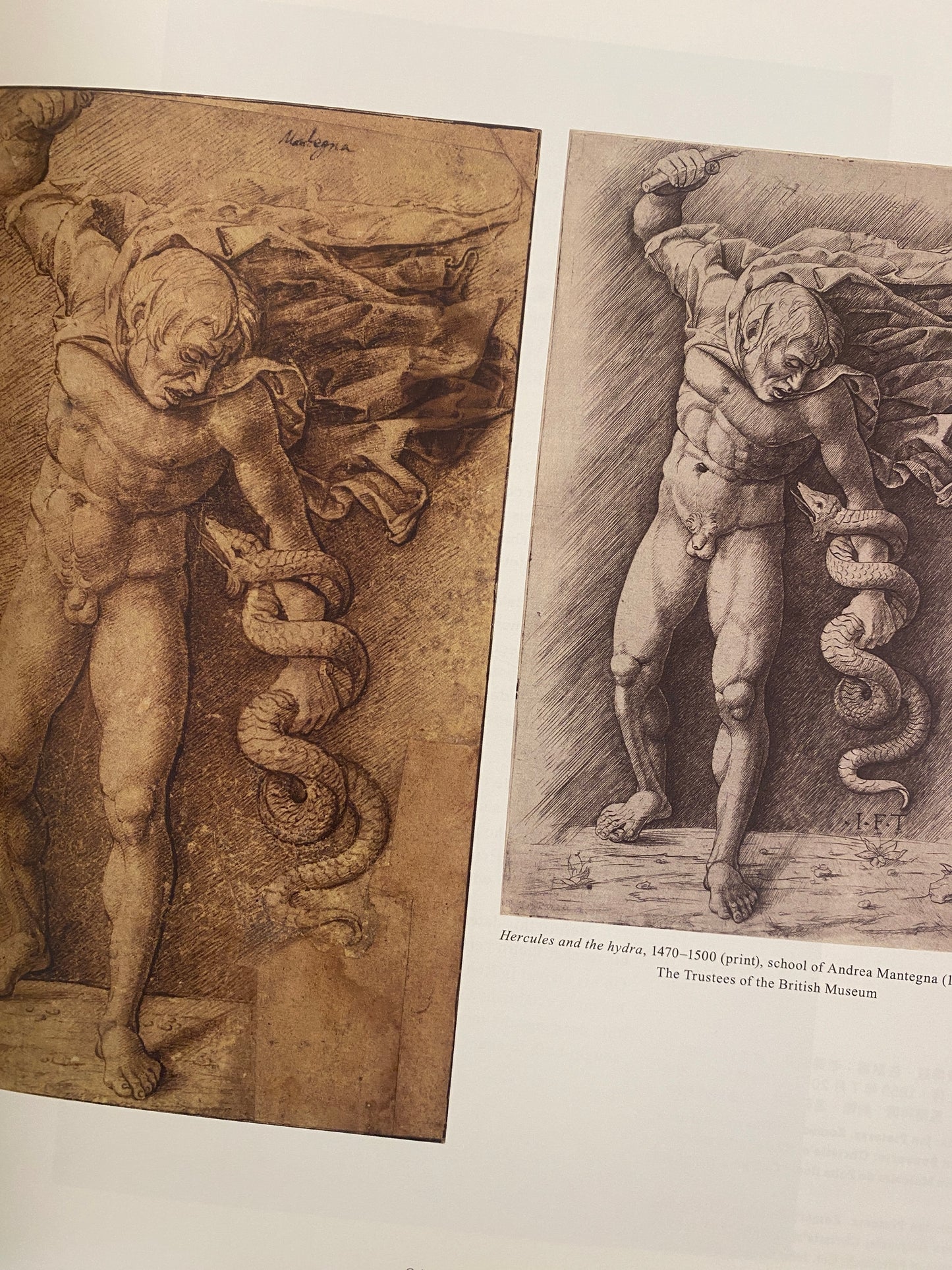 Italian Renaissance Sketches from the British Museum Collection