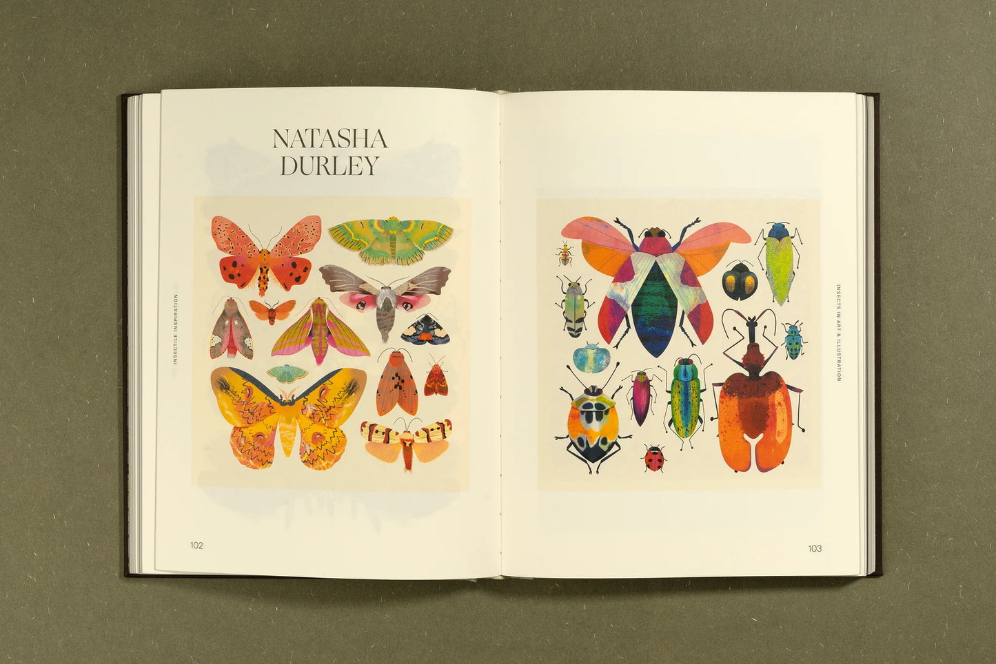 Insectile Inspiration : Insects in Art and Illustration