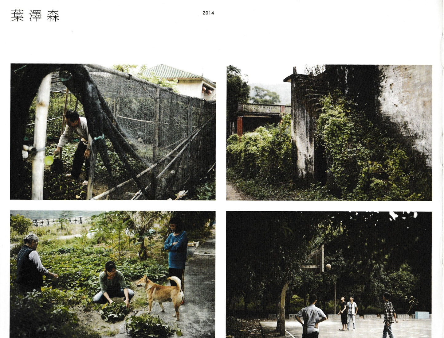 背山揚塵:橫琴影像集2011-2014-2017