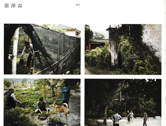 背山揚塵:橫琴影像集2011-2014-2017