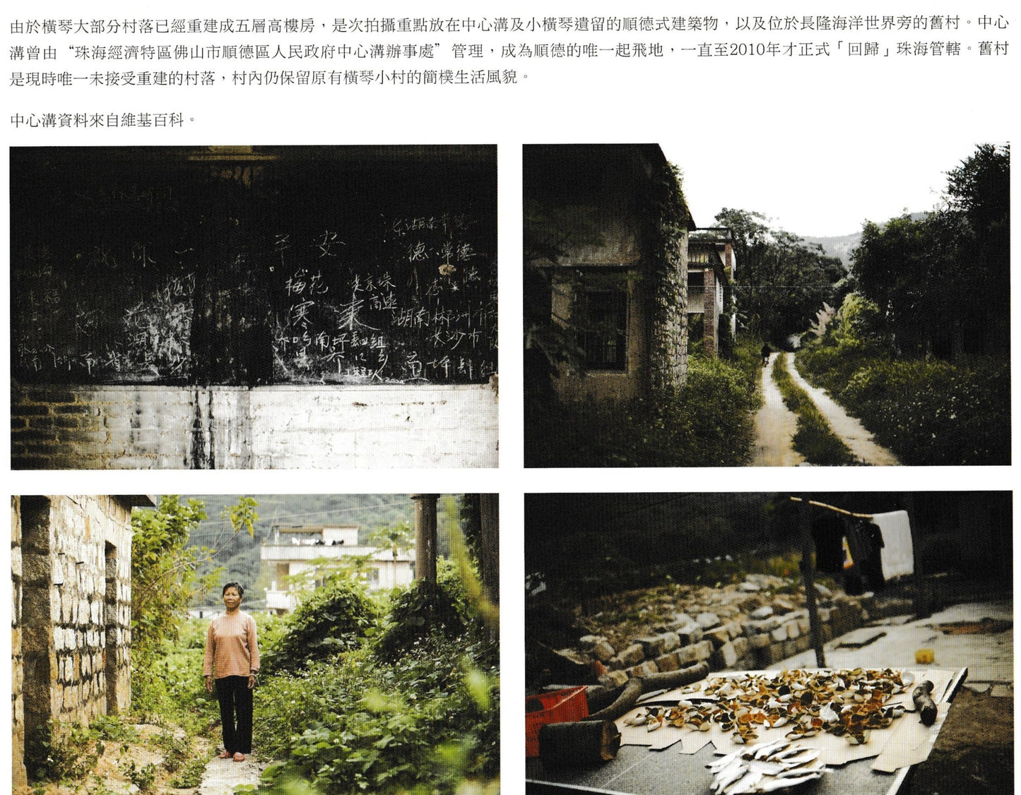 背山揚塵:橫琴影像集2011-2014-2017