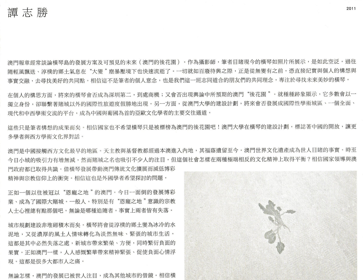 背山揚塵:橫琴影像集2011-2014-2017
