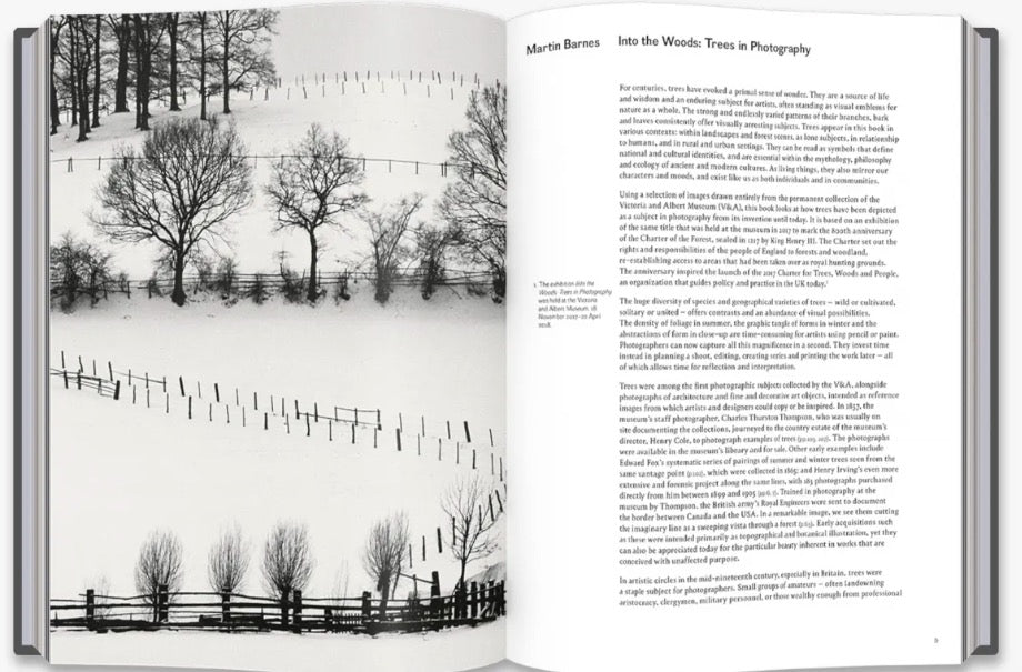 Into the Woods: Trees in Photography