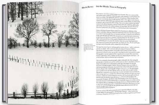 Into the Woods: Trees in Photography