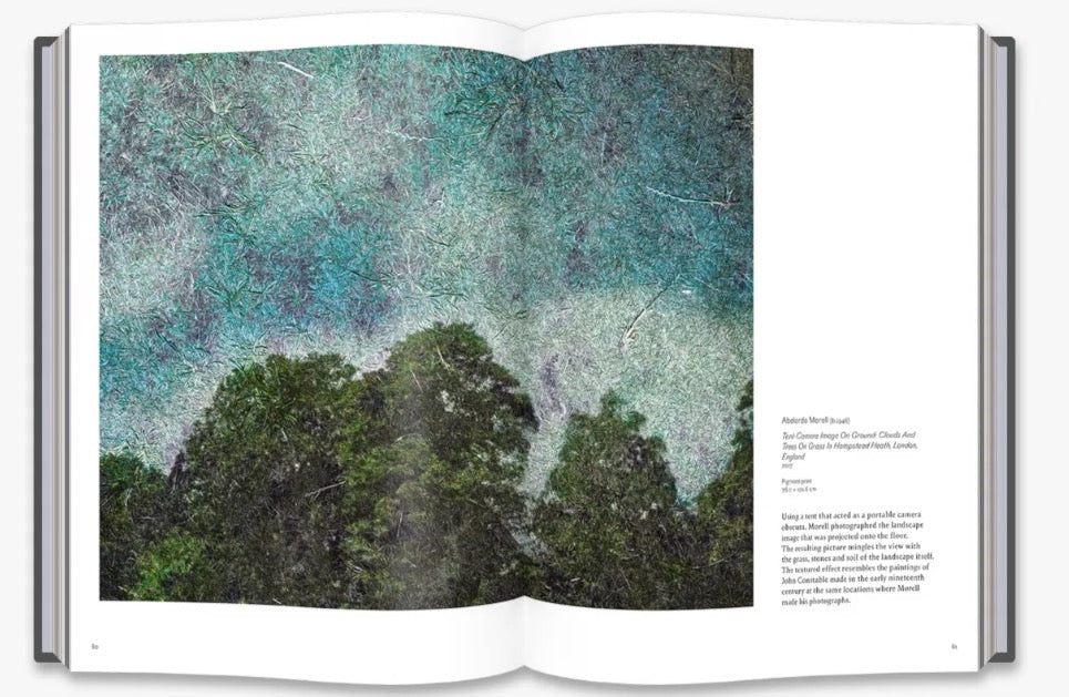 Into the Woods: Trees in Photography