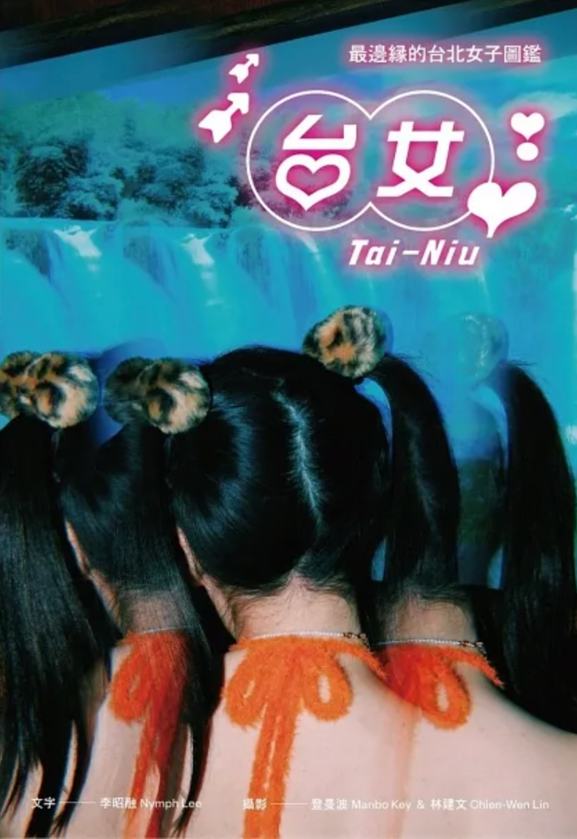 台女Tai-Niu : 最邊緣的台北女子圖鑑