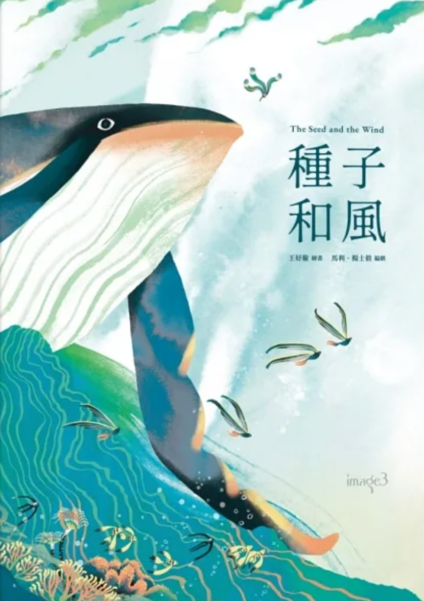 種子和風