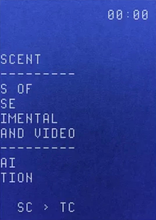 童貞時代 中國實驗電影與錄像:The Adolescent: Traces of Chinese Experimental Film and Video