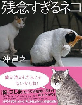 残念すぎるネコ