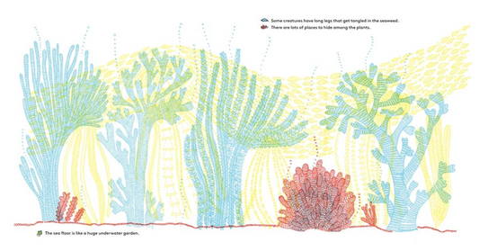 What's Hidden in the Sea?