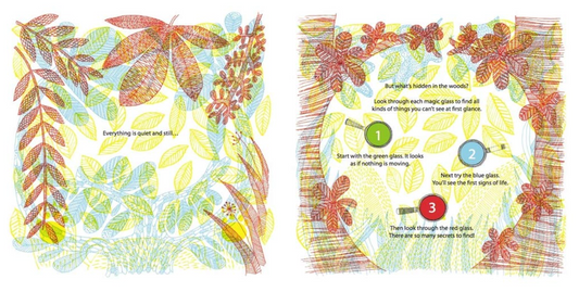 What's Hidden in the Woods?