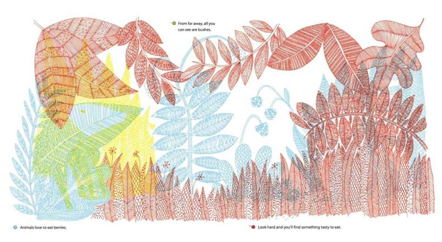 What's Hidden in the Woods?