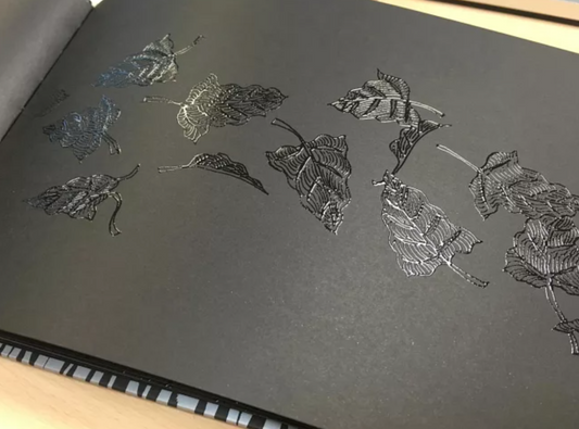 這是一本有顏色的書