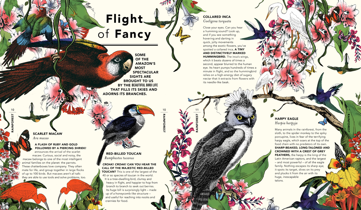 The Wonder Garden : Wander Through 5 Habitats to Discover 80 Amazing Animals