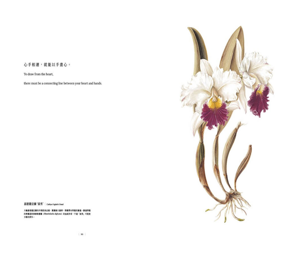 Orchid Whisper
