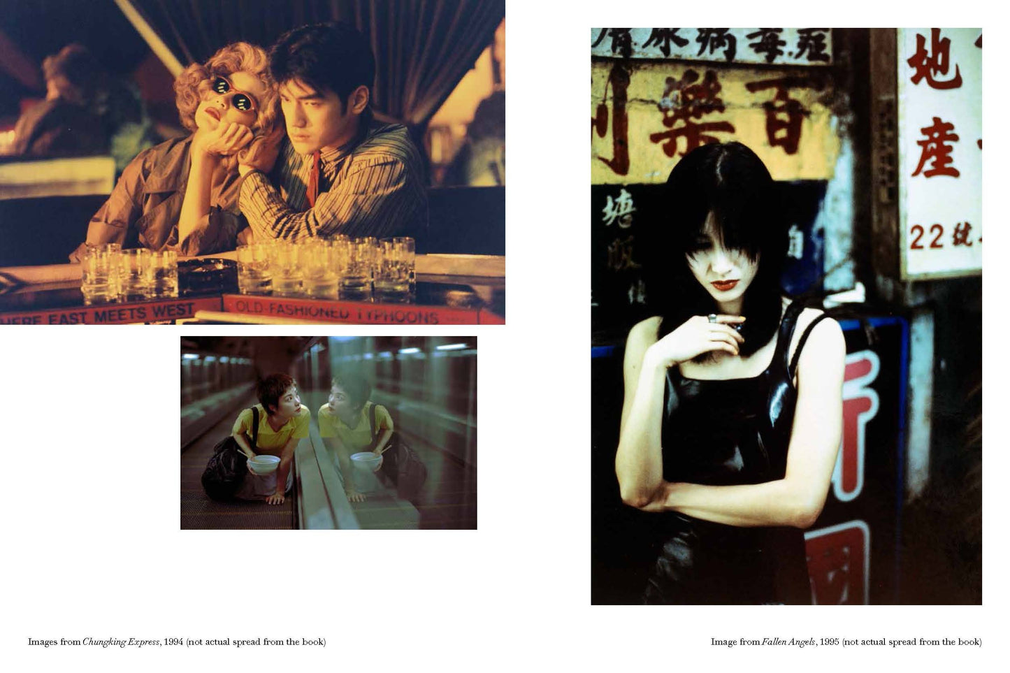 WKW : The Cinema of Wong Kar Wai