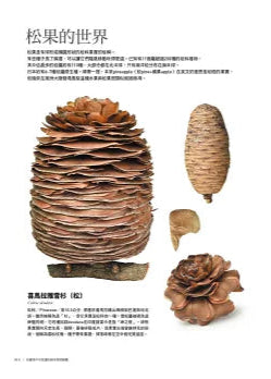 有趣到不可思議的樹木果實圖鑑:300種果實驚人的機能美和造形美,前所未有的鑑賞級寫真