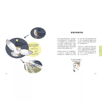 噢!原來如此 有趣的鳥類學