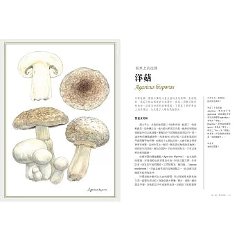 菇的呼風喚雨史(暢銷修訂版):從餐桌、工廠、實驗室、戰場到農田,那些人類迷戀、依賴或懼怕的真菌與它們的祕密生活