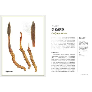 菇的呼風喚雨史(暢銷修訂版):從餐桌、工廠、實驗室、戰場到農田,那些人類迷戀、依賴或懼怕的真菌與它們的祕密生活