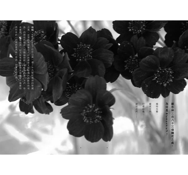 花店:關於那些花所傳遞的故事