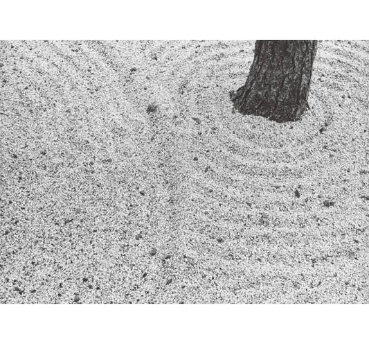 礫石與沙:日本枯山水庭園的見微知著