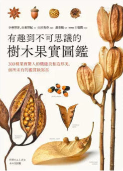 有趣到不可思議的樹木果實圖鑑:300種果實驚人的機能美和造形美,前所未有的鑑賞級寫真