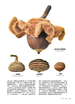 有趣到不可思議的樹木果實圖鑑:300種果實驚人的機能美和造形美,前所未有的鑑賞級寫真