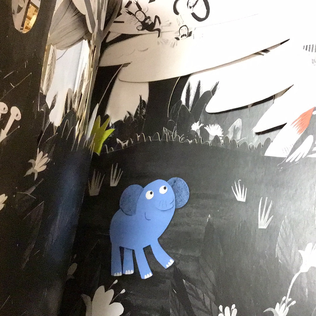 小象的鼻子為什麼這麼長